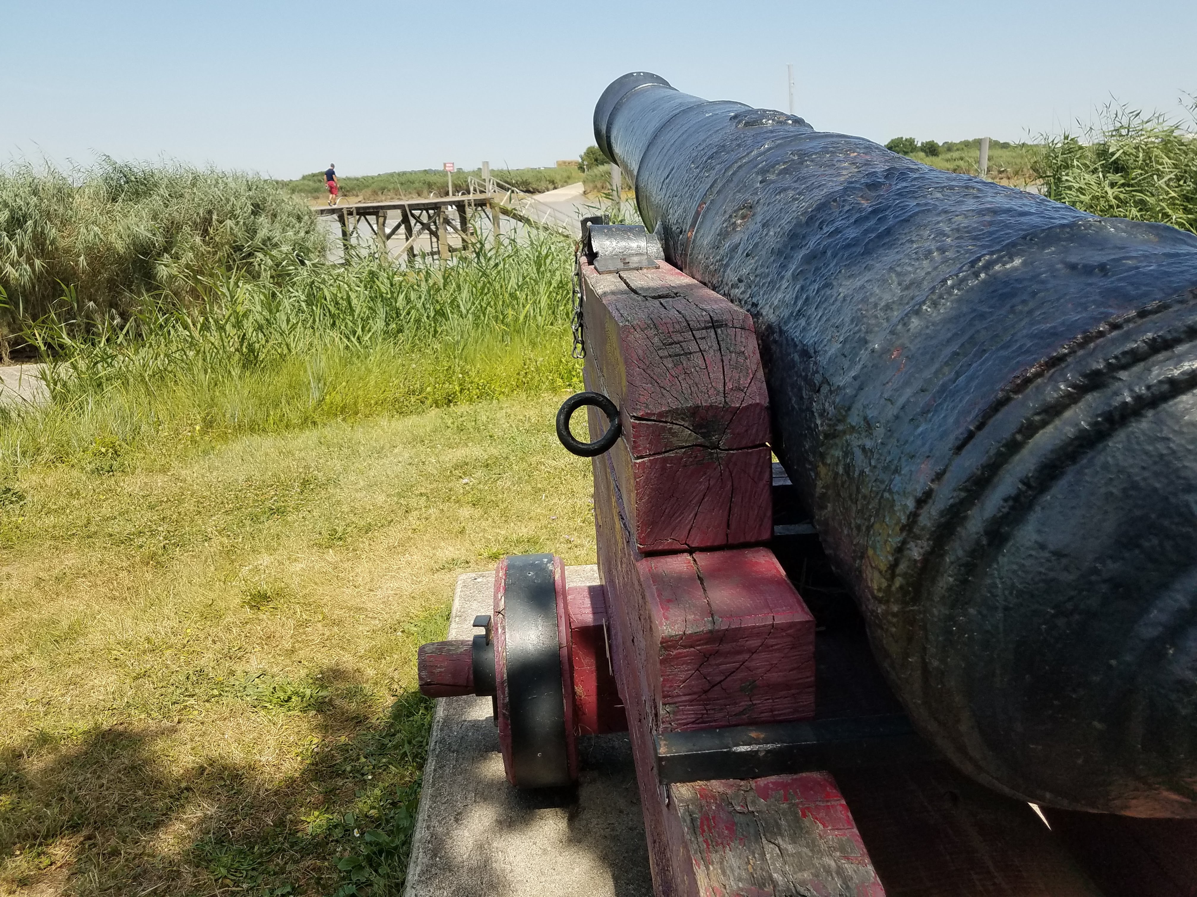 Canon sur son affût, au bord du marais